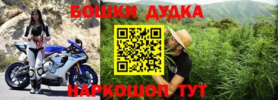 соль ск Новозыбков