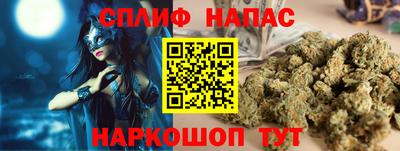 соль ск Новозыбков