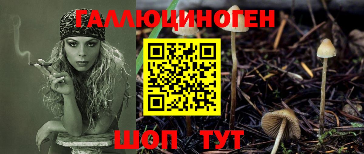 Псилоцибиновые грибы ЛСД Топки