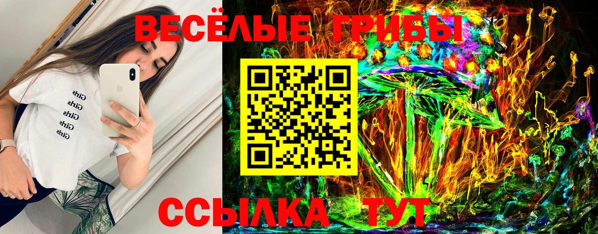 Псилоцибиновые грибы прущие грибы  Вход с VPN  Галлюциногенные грибы MAGIC MUSHROOMS  Топки 