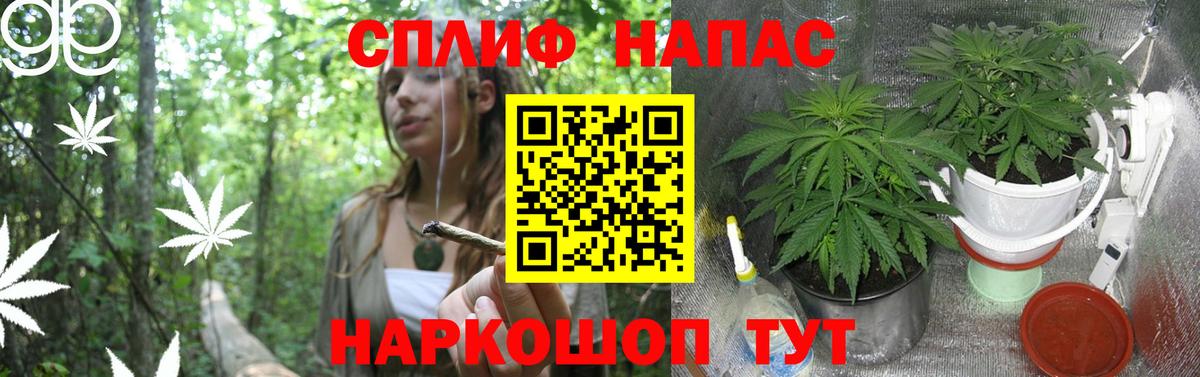 Каннабис SATIVA & INDICA Топки